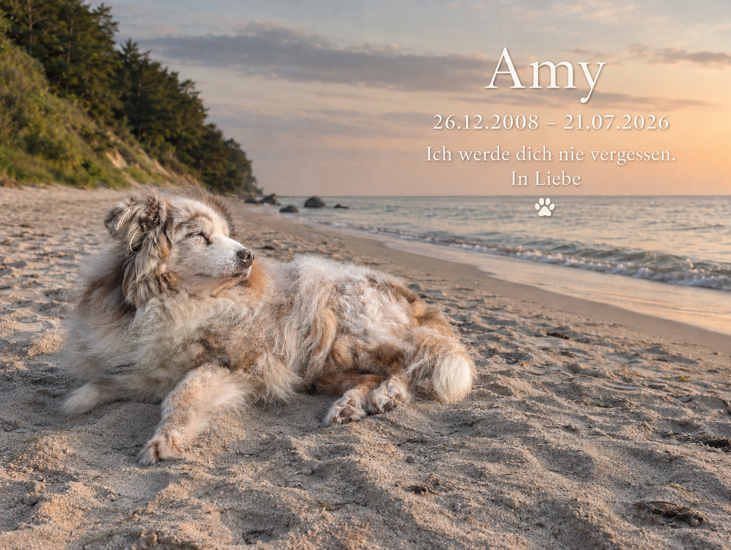 Amy entspannt am Strand, mit ihren Lebensdaten und einer Liebeserklärung