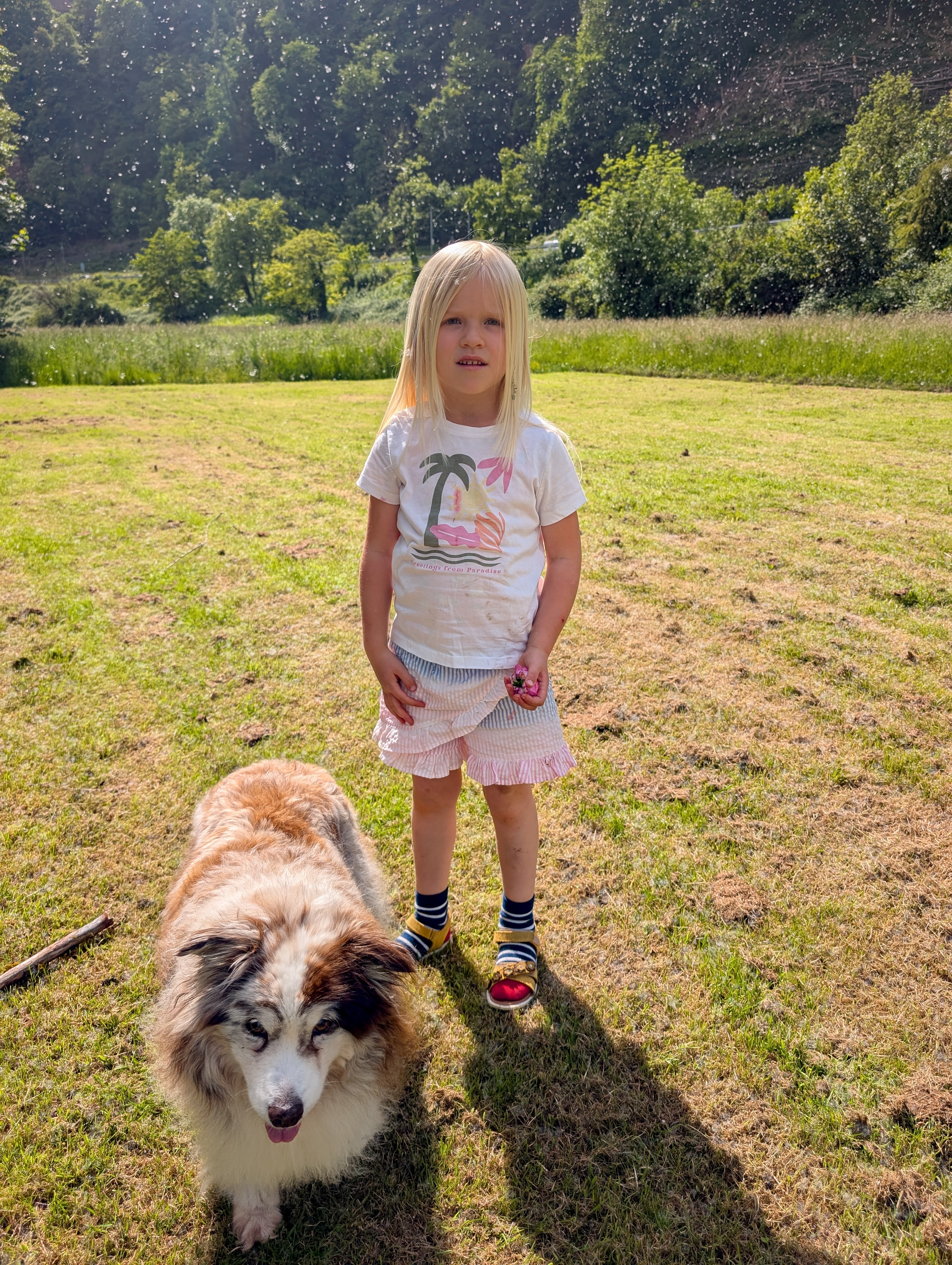 Amy mit der Tochter ihres Menschen auf einer sonnigen Wiese im Mai 2026